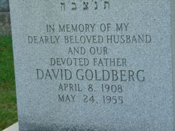 David Goldberg 