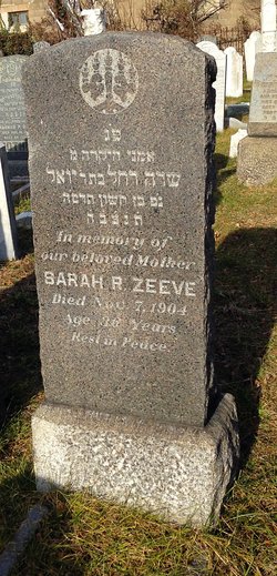 Sarah Rachel <I>Horowitz</I> Sive Zeeve 