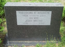 Theodore F Adamcik 