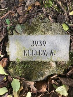 A Kelley 