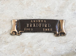 Andrea Bradford 