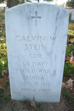 Calvin Warren Stein 