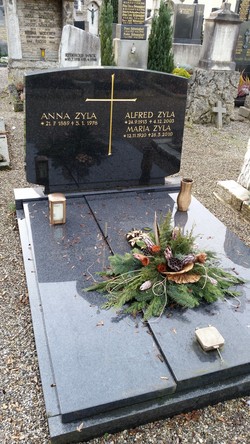 Anna Zyla 