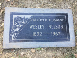 Samuel Wesley Nelson 