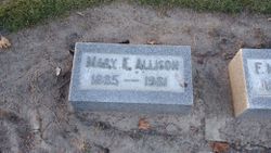 Mary E <I>Allison</I> Allison 