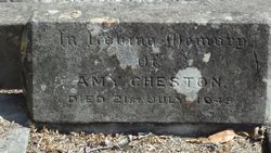 Amy Cheston 
