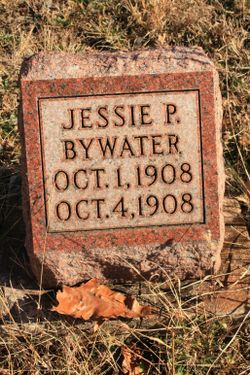 Jessie P Bywater 