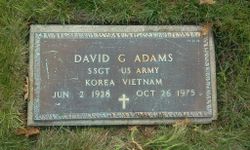David G Adams 
