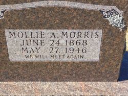 Mary Ann “Mollie” <I>Morris</I> Munn 