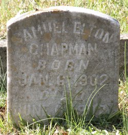 Samuel Elton Chapman 