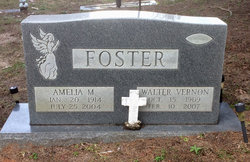 Amelia M Foster 