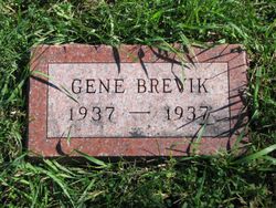 Gene Brevik 