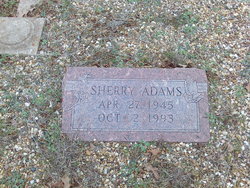 Sherry Ann Adams 