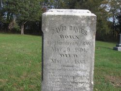 David Davies 