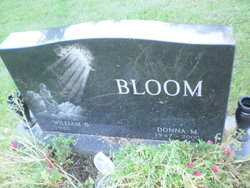 Donna Bloom 