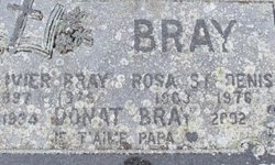 Rosa <I>St. Denis</I> Bray 
