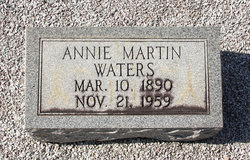 Annie Elizabeth <I>Martin</I> Waters 