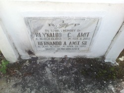 Reynaldo C Amit 