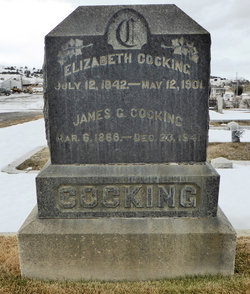 James G. Cocking 