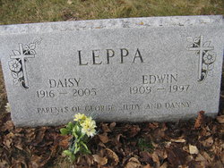 David Edwin Leppa 