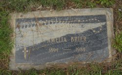 Amelia Brier 