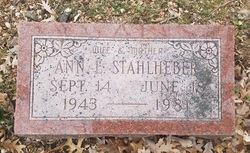 Ann L. <I>Hester</I> Stahlheber 