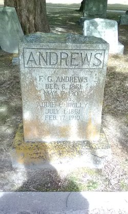 Addie Cornelia <I>Briley</I> Andrews 