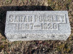 Sarah A <I>Carter</I> Shinkle-Pursley 