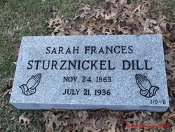 Sarah Frances <I>Sturznickel</I> Dill 