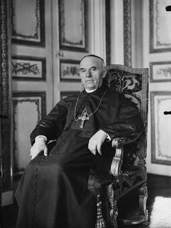 Cardinal Jean Verdier 