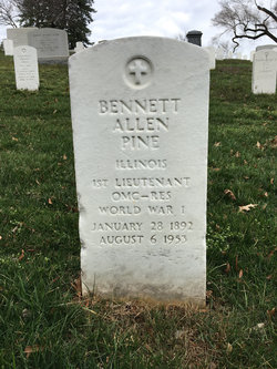 Bennett Allen Pine 