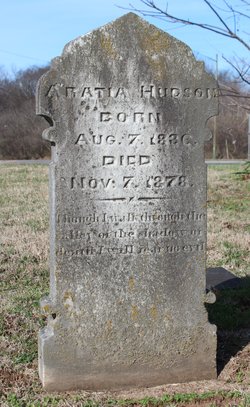 Aratia Hudson 