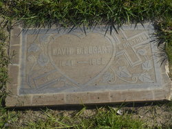 David D. Bogart 