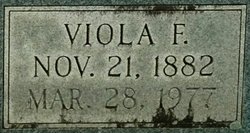 Viola <I>Ferguson</I> Stone 