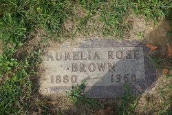 Aurelia Rose Brown 