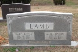 Aileen <I>Harkins</I> Lamb 