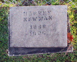 Aaron Harvey Newman 