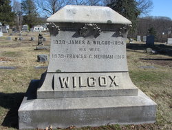James A Wilcox 