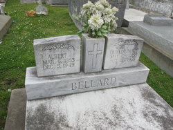 Albert Bellard 