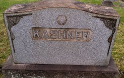 Daniel B Kashner 