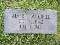 Alver J Mitchell 