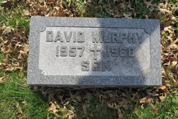 David Murphy 