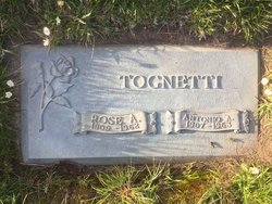 Antonio A Tognetti 