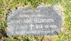 Mary J Ellsworth 