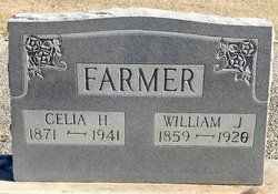 William Jasper Farmer 