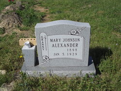 Mary <I>Johnson</I> Alexander 