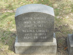 David Lingle 