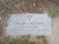 David Allan Badger 