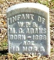 Infant Adams 