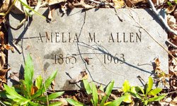Amelia Allen 